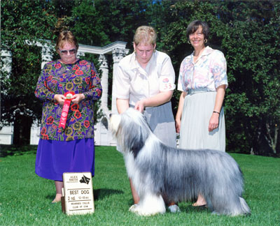 Robbie having  a show photo taken at his first Specialty show, with his handler, mommy and the judge.